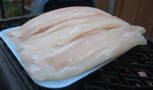 Pounds upon pounds of Swai fillets, which are the size of a small cookie sheet. 